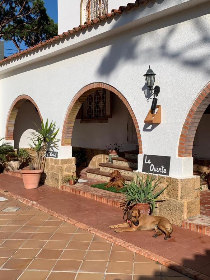 La Quinta - La Barrosa Vila Chiclana de la Frontera Exterior foto
